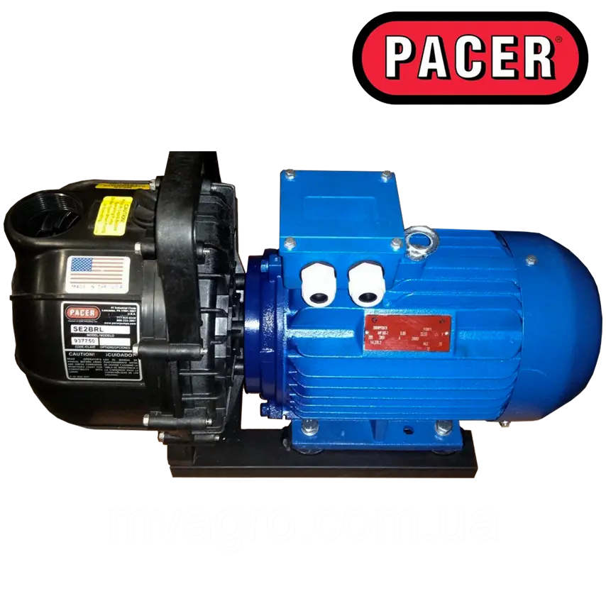 Помпа PACER SE2BRL-АИР100S2 з електродвигуном для КАС, 800 л/хв, фото 1