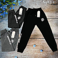 Демисезонные штаны для мальчика Размеры: 6,7,8,9 лет (16084)