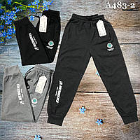 Спортивные штаны на манжете для мальчика Размеры: 6,7,8,9 лет (16085)