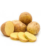 Насіннєва картопля Бельмонда 1-ї репродукції (середньорання) 1 кг