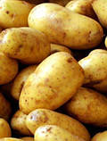 Насіннєва картопля Лілі 1-ї репродукції (середньорання) 1 кг, фото 3