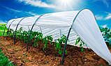 Агроволокно Agreen 6.35х100м 30г/м2 біле у рулоні тканина для агрокультур покриття для рослин геотекстиль, фото 4