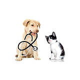 Ветеринарне обладнання