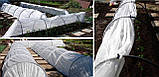 Агроволокно Agreen 12.65х100м 23г\м2 біле у рулоні текстиль для сільського господарства тканина для захисту, фото 2