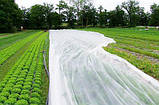 Агроволокно Agreen 12.65х100м 23г\м2 біле у рулоні текстиль для сільського господарства тканина для захисту, фото 3