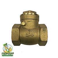 Зворотний клапан пелюстковий (хлопавка) 1" DN25