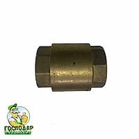 Зворотний клапан пластиковий шток 1" DN 25