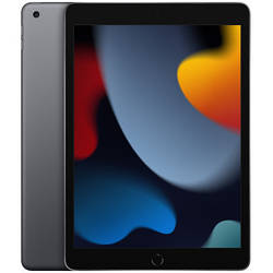 Apple iPad 10.2 Wi-Fi 64Gb (2021) Space Gray