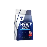 Протеин WHEY 100 900g (CHOCOLATE)