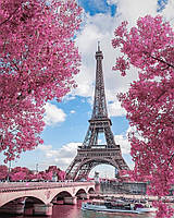 Картина за номерами SH29271 Весна в Парижі 40x50 см