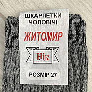 Шкарпетки чоловічі демісезонні бавовна рубчик Нік, Житомир, 27 розмір, сірі, 08952, фото 5