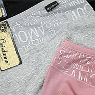 Жіночі бавовняні труси сліп на високій посадці з декоративною вставкою Beisdanna (великі розміри) 3XL,Чорний, фото 4