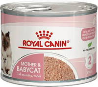 Royal Canin Babycat Instinctive 195г мусс для котят до 4 месяцев