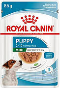 Royal Canin Mini Puppy - паучи для цуценят дрібних порід в соусі (упаковка 12 штук за 85г)