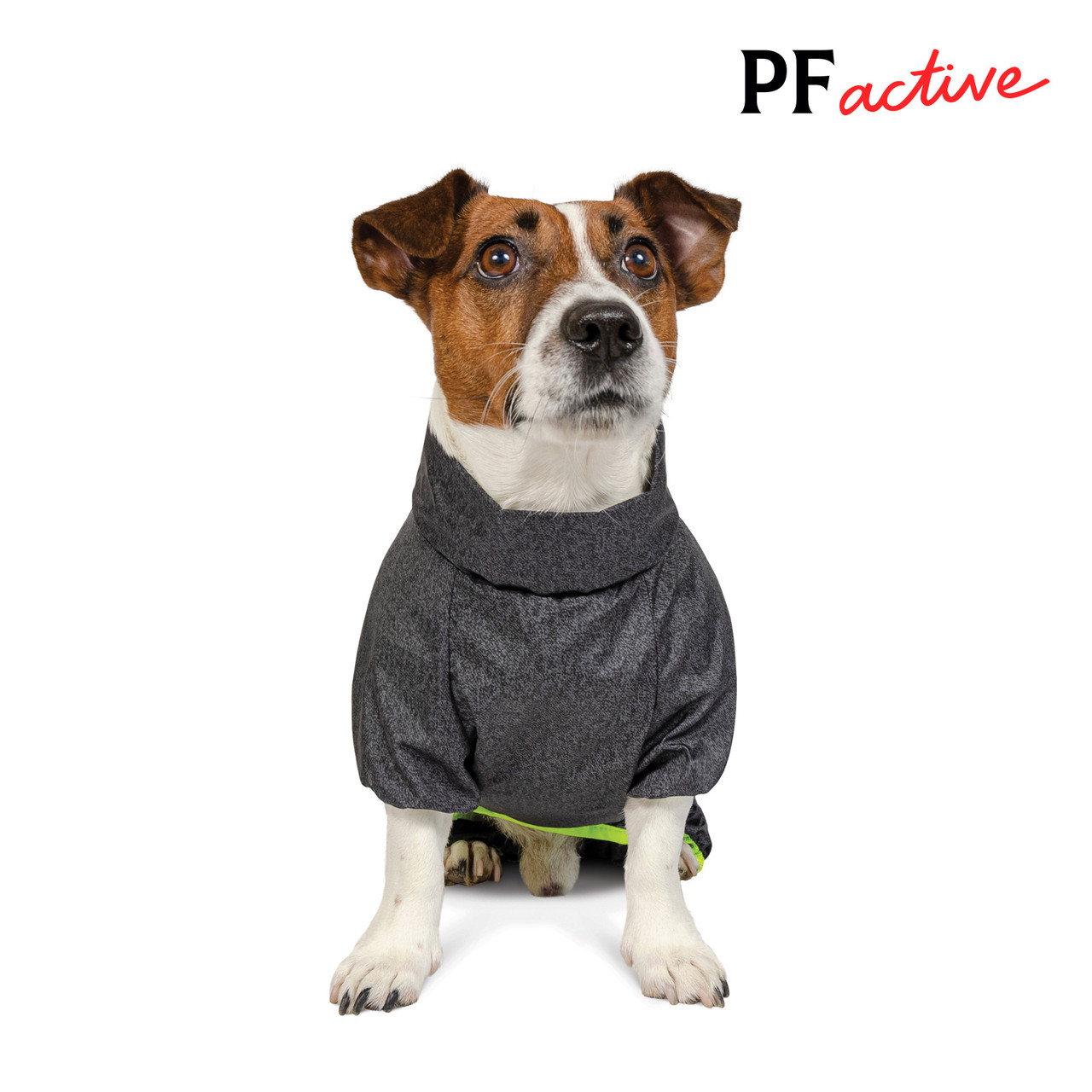 Дощовик для такс Rain розмір S, Pet Fashion, фото 1