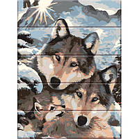 Картина за номерами для дерева "Вовки" ASW013 30х40 см