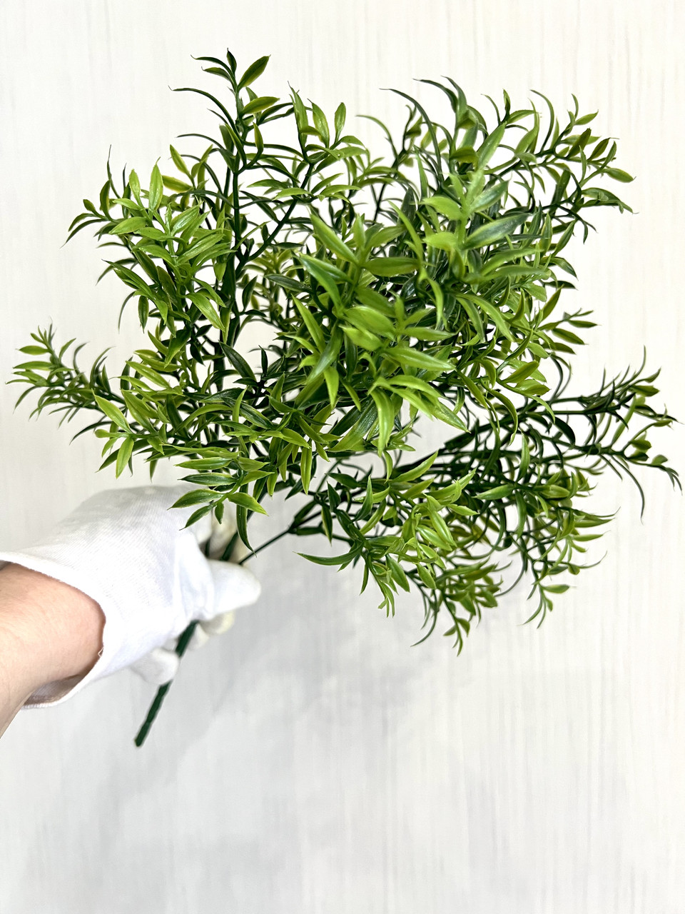 Штучний аспарагус. Кущ декоративний (зелений, 38 см), фото 1