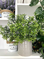 Штучний аспарагус. Кущ декоративний (зелений, 38 см), фото 3