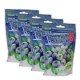 Добриво Planton B для лохини та чорниці (Плантон, 200 г), Польща, фото 4