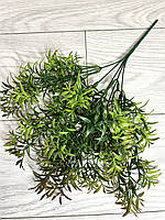 Штучний аспарагус. Кущ декоративного аспарагусу (зелений із коричневим напиленням, 38 см), фото 9