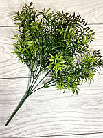 Штучний аспарагус. Кущ декоративного аспарагусу (зелений із коричневим напиленням, 38 см), фото 8