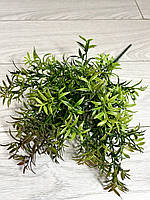 Штучний аспарагус. Кущ декоративного аспарагусу (зелений із коричневим напиленням, 38 см), фото 7