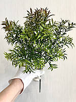 Штучний аспарагус. Кущ декоративного аспарагусу (зелений із коричневим напиленням, 38 см), фото 5
