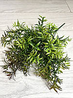 Штучний аспарагус. Кущ декоративного аспарагусу (зелений із коричневим напиленням, 38 см), фото 6