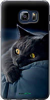 Силиконовый Чехол на Samsung Galaxy S6 Edge Plus G928 Димчастий кіт
