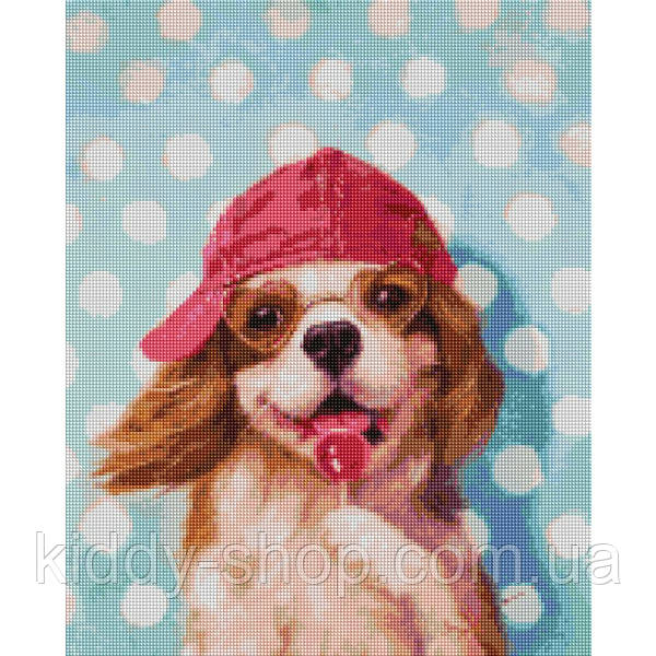 Діамантова мозаїка Песик з льодяником ©Lucia Heffernan, 40х50 см, фото 1