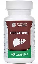 Гепатонедж (Hepatonej) 60капс. гепатопротектор та жовчогінний засіб «Punarvasu».