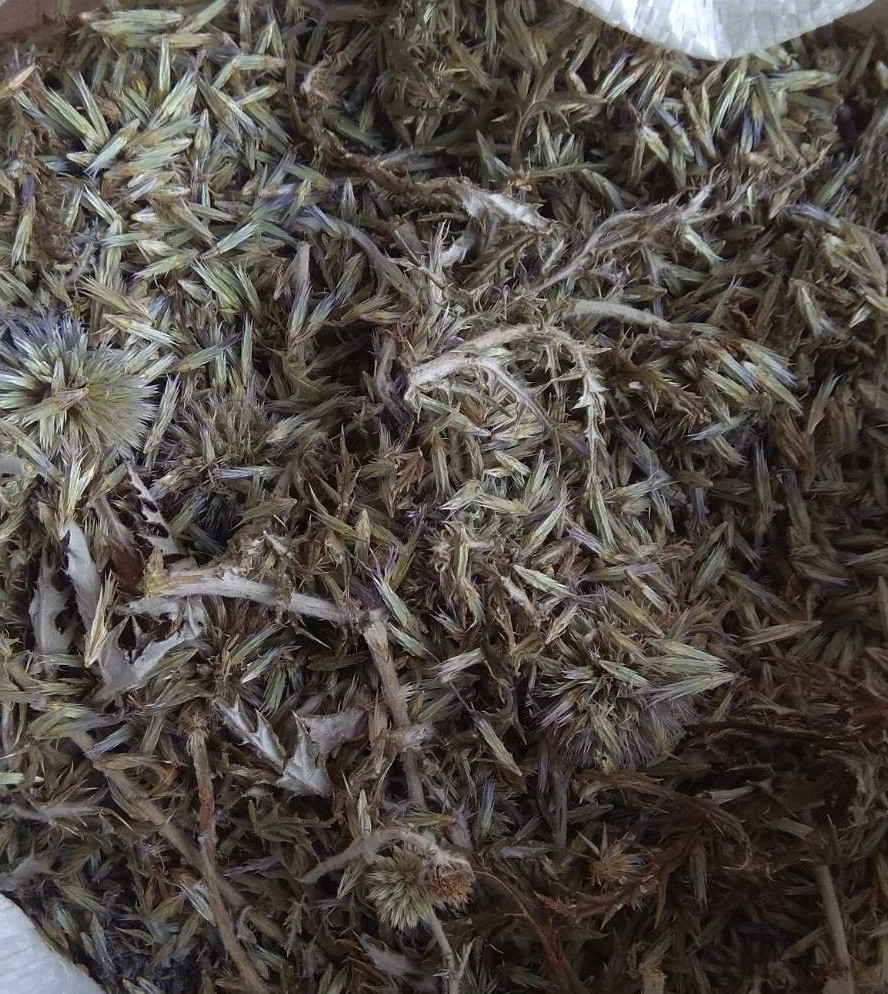 Мордовник / Головатень, 500г., фото 1