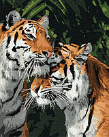 Картины по номерам акрил Тигровая любовь 40х50 см Идейка KHO4301