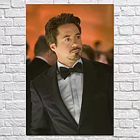 Плакат "Роберт Дауни-младший, Robert John Downey Jr.", 60×40см