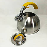 Чайник газовий красивий Magio, Чайник зі свистком для електричної плити для газової комфорки AC-85, фото 2