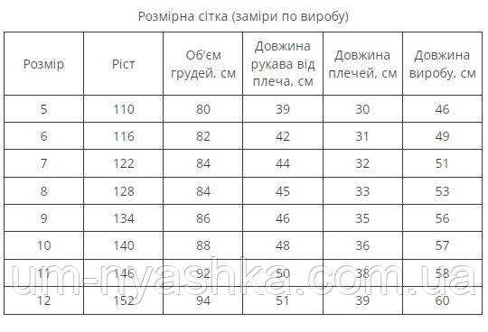 вишиванка для хлопчика синьо-жовтими нитками