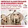 Royal Canin Gastro Intestinal Dog 15 кг — дієта для собак у разі порушення травлення., фото 8