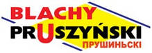 Профнастил Т 160 (У) Blachy Pruszynski, фото 5