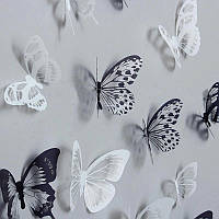 Разноцветные бабочки на стену. Набор разноцветных бабочек. Декоративные бабочки. 3D наклейки бабочки. Бабочки