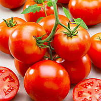 Насіння томату Солероссо F1 Nunhems - 20шт (Агро Імідж)