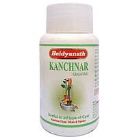 Канчнар Гуггул (Беднатх) Kanchnar Guggulu (Baidyanath) 80таб, эффективно очищает кровеносную систему