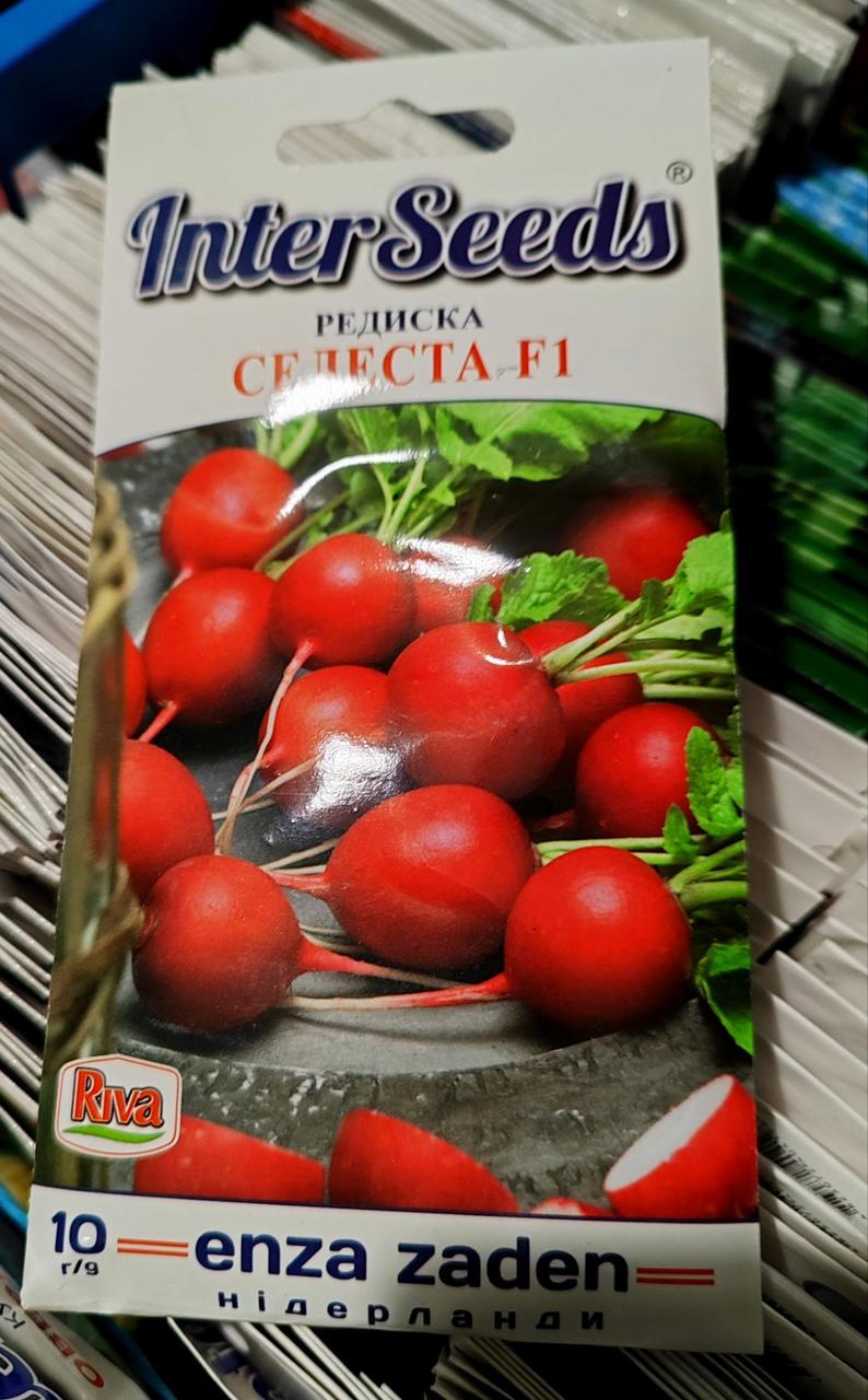 Насіння СЕЛЕСТА F1 / CELESTA F1, 10 г, Enza Zaden Нідерланди