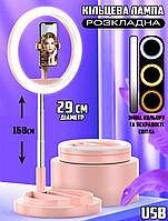 Кольцевая лампа на подставке Ring Light 01JM 29см кольцевой свет, с держателем телефона, складная Pink HLS