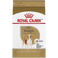 Royal Canin Beagle Adult 3 кг корм для дорослих собак породи бігль віком від 12 місяців