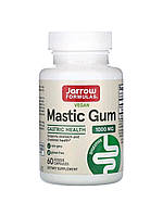 Jarrow Formulas, Mastic gum, мастикова смола, 1000 мг, 60 веганських капсул (500 мг у капсулі