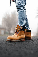 Зимние женские ботинки Timberland