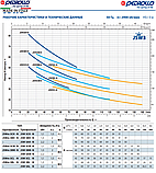 Самовсмоктуючий насос Pedrollo JSWm 3BL (230V) - 29230, фото 3