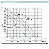Насос відцентровий SHIMGE JET750L1, 0.75 кВт, Нmax=41 м, Qmax=75 л/хв - 29397, фото 2