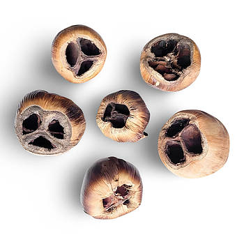 Сухоцвіти (9-10 см; 10 шт)