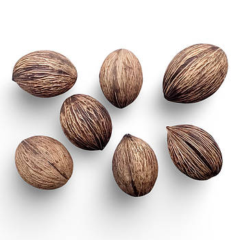 Сухоцвіти (8-10 см; 14-15 шт)